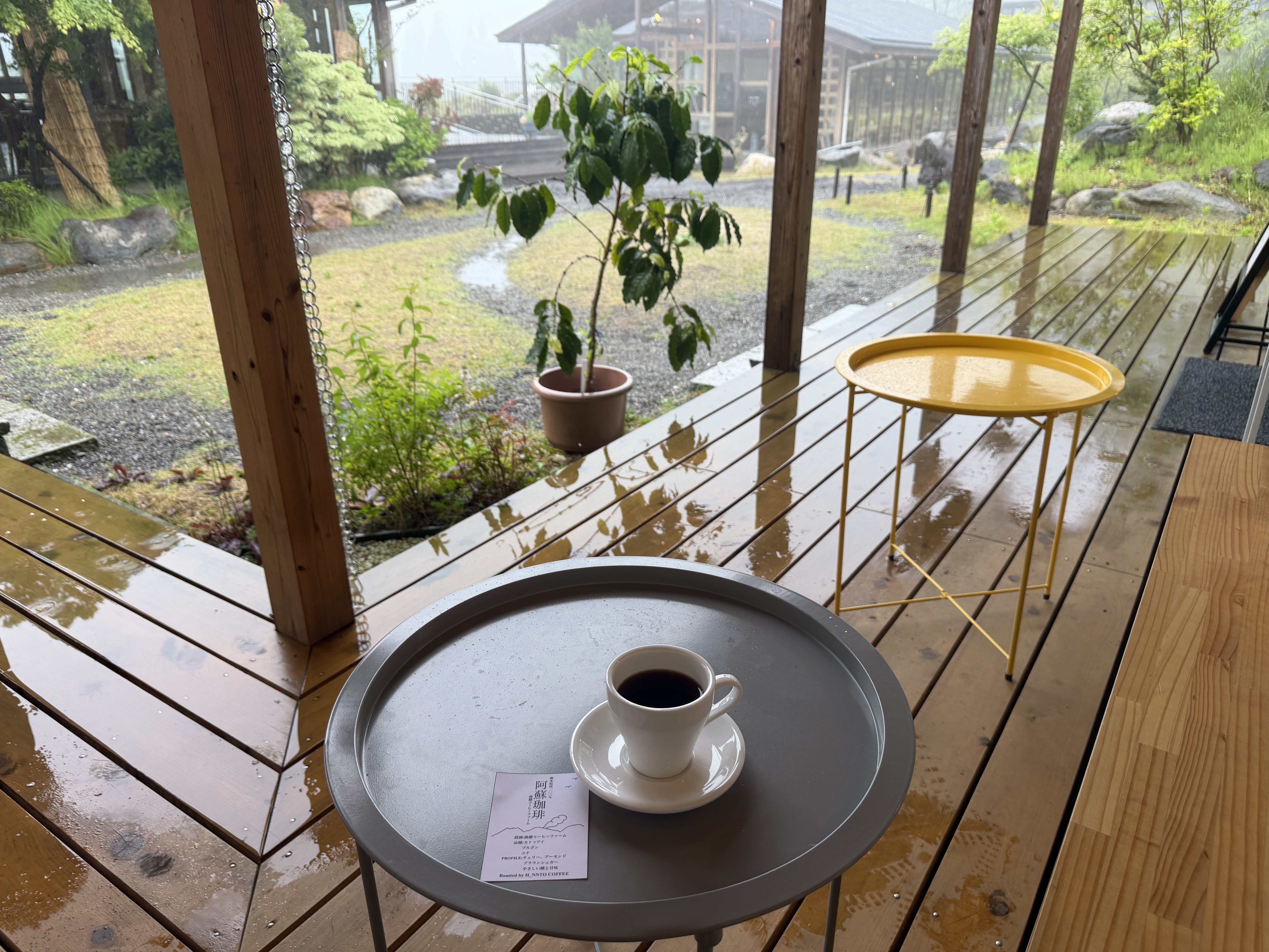 コーヒーの木オーナーになった経緯