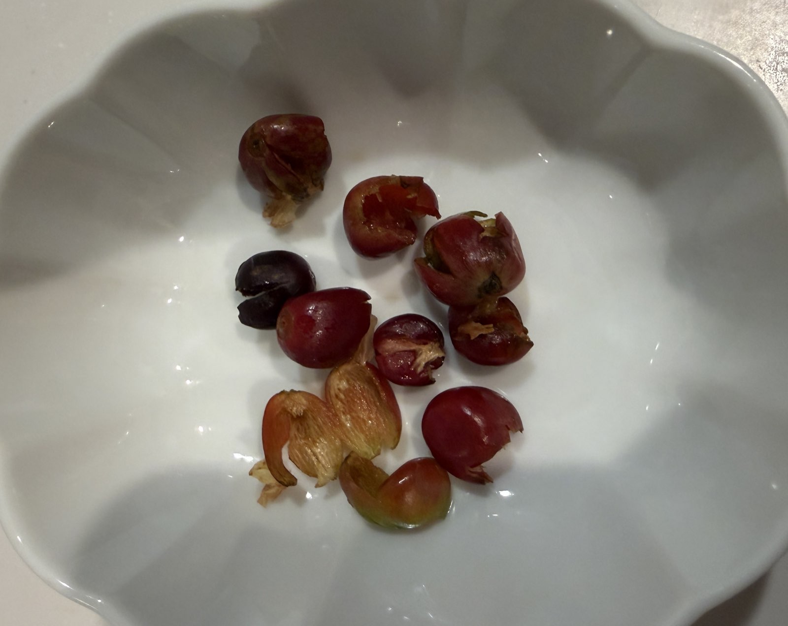 乾燥前の皮と実
