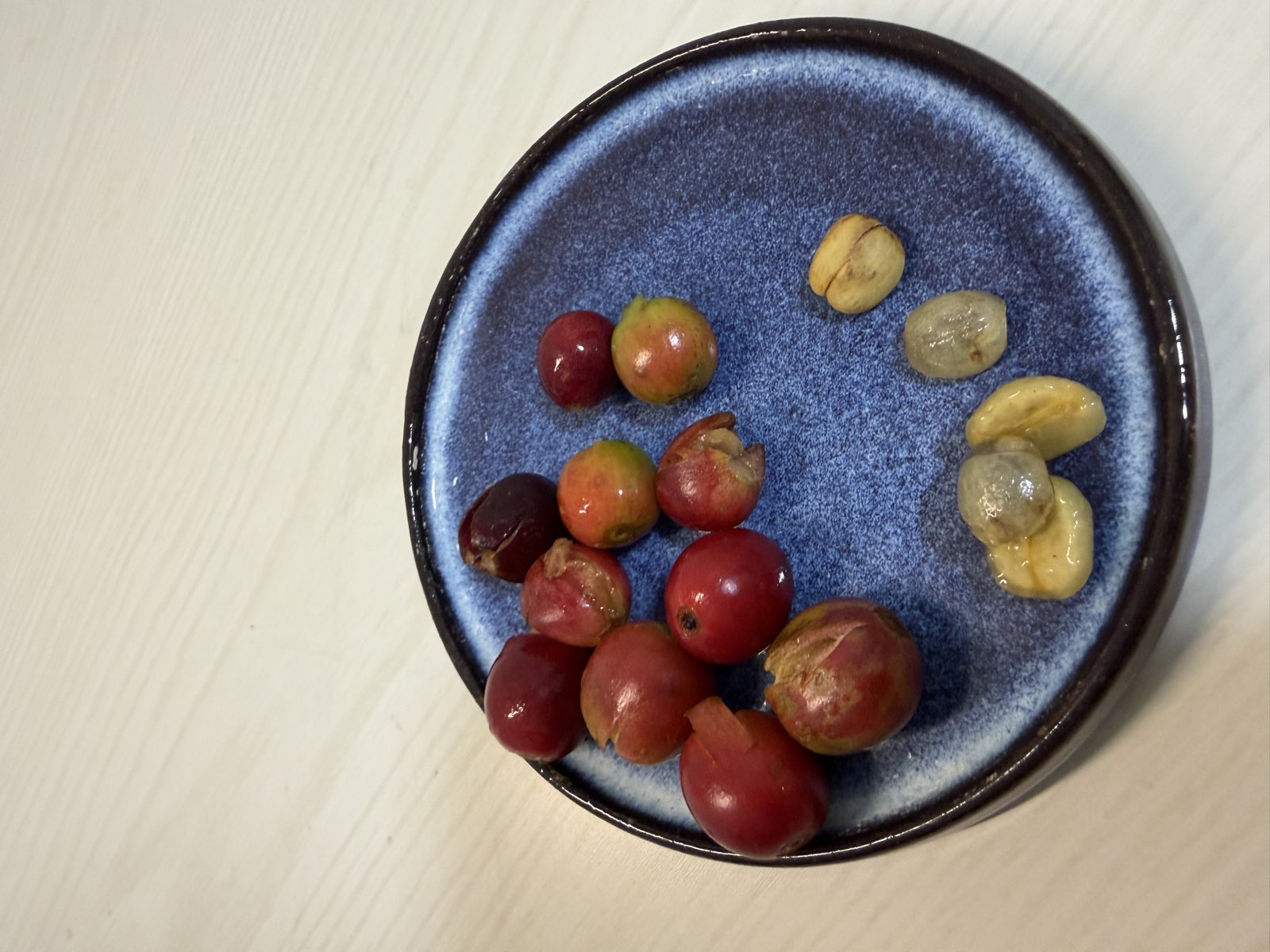 コーヒーチェリーと取り出した種