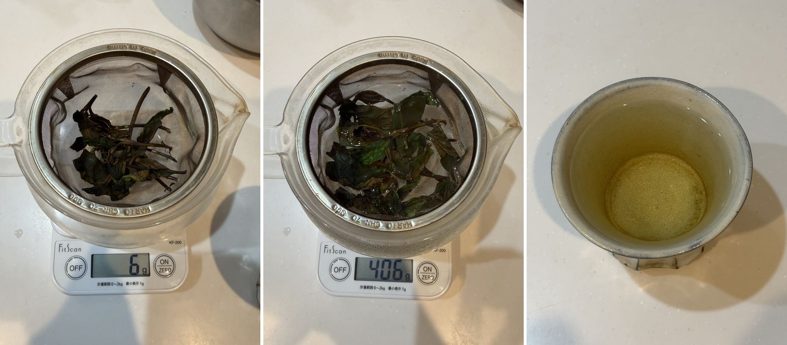 茶葉6g・抽出後406g・1杯目