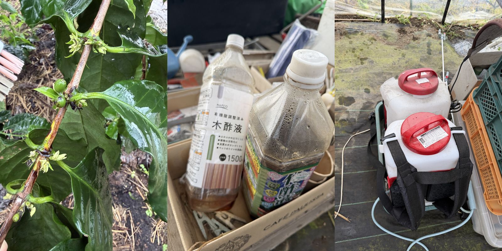 節の黒い部分と歯ブラシ・木酢液のボトル・背負い式の散布機